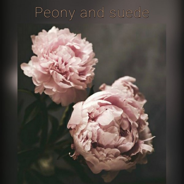 Κερί σόγιας – Peony & suede 212ml