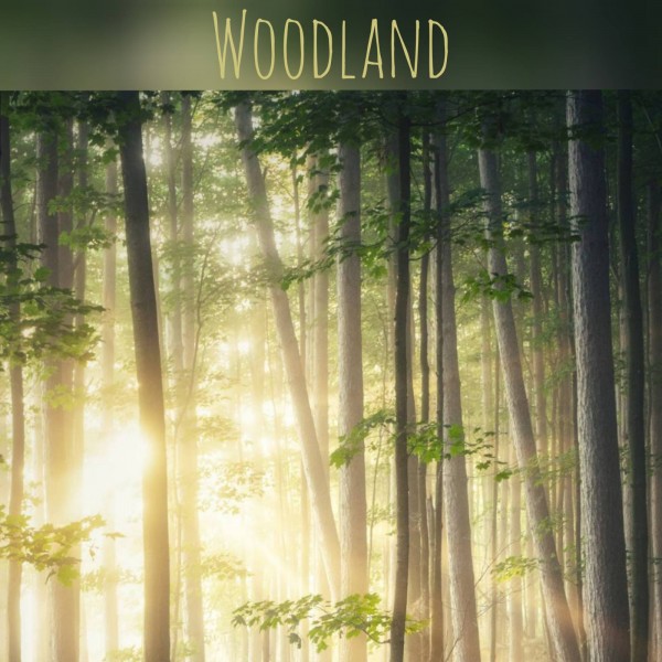 Κερί σόγιας – Woodland 212ml